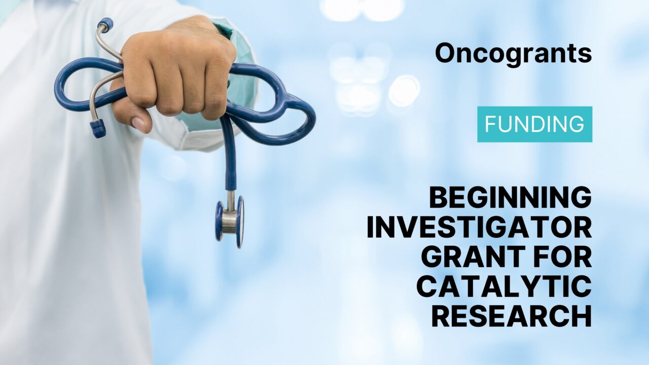 Beginning Investigator Grant for Catalytic Research (BIG Cat)
