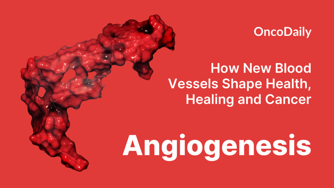 Angiogenesis: How New Blood Vessels Shape Health, Healing  and Cancer