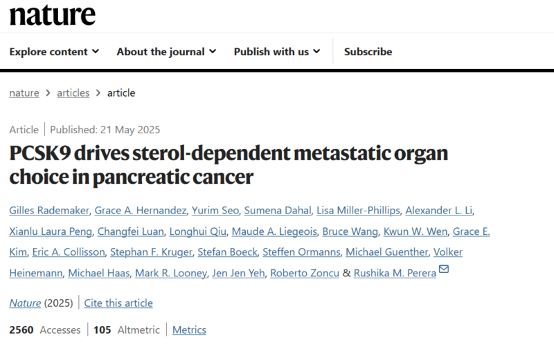pancreatic cancer
