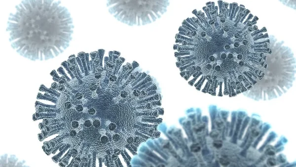 The Link Between Levels of Epstein-Barr Virus VCA-IgA Antibodies and Cancer Risk – IARC