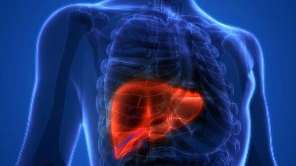 European Liver Patients’​ Association: The Role of Research and Innovation in Advancing Liver Cancer Therapies