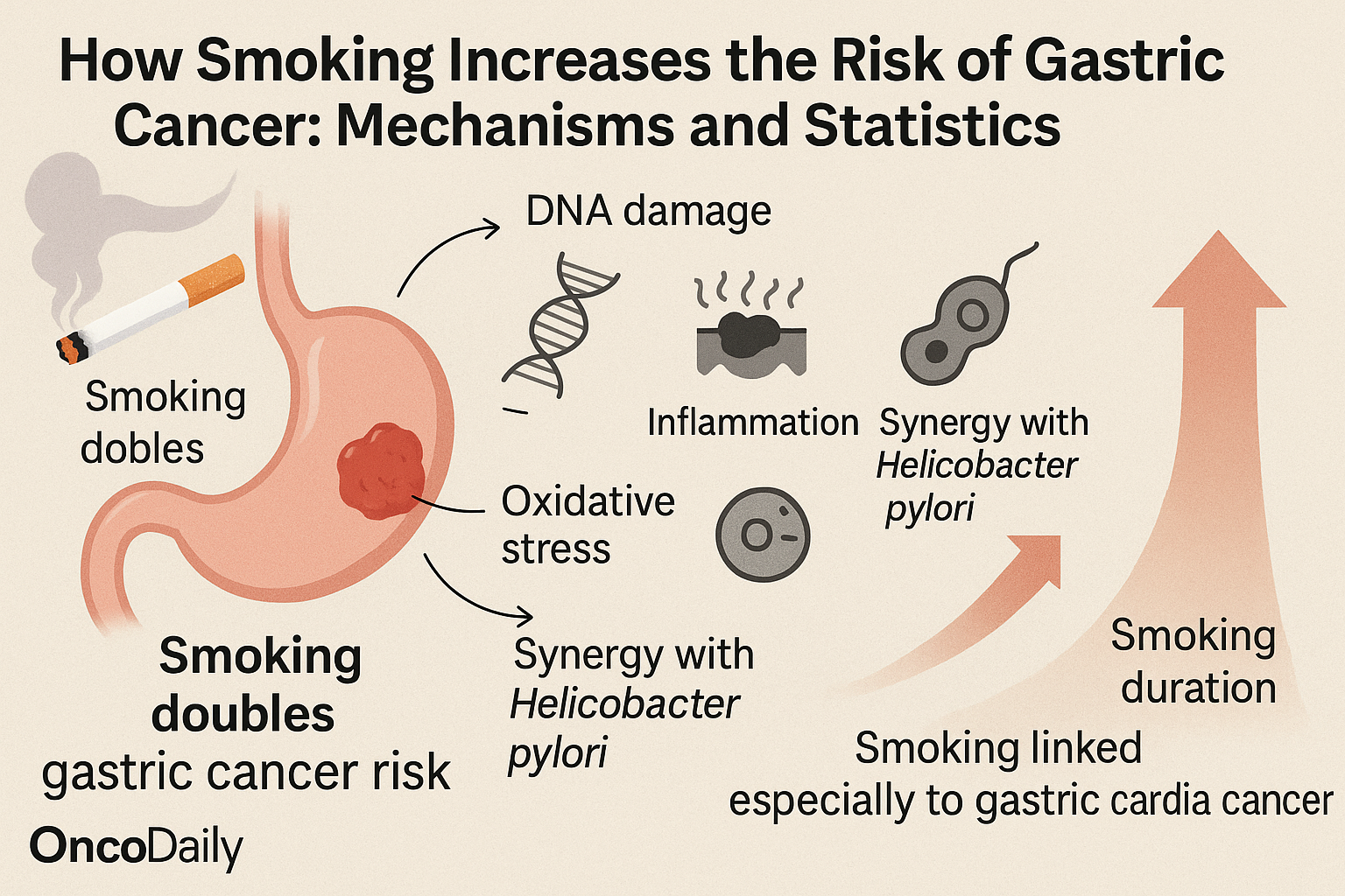 smoking and gastric cancer . smoking and stomach cancer