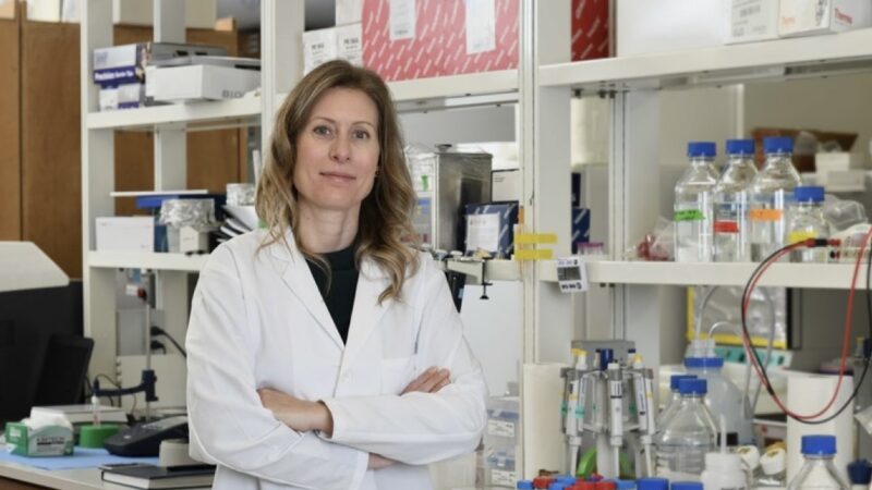 Kristy Brown Received an $800,000 Grant Grom The V Foundation to Study How Obesity Impacts Cancer Research – KU Cancer Center