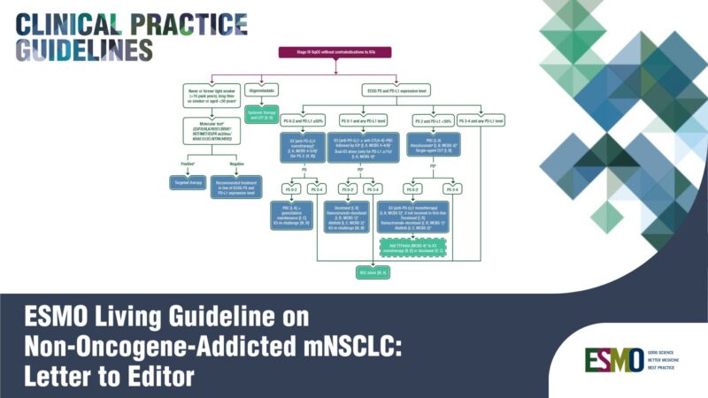 Updated ESMO Clinical Practice Guideline Recommendations in the Non-oncogene-addicted Metastatic NSCLC