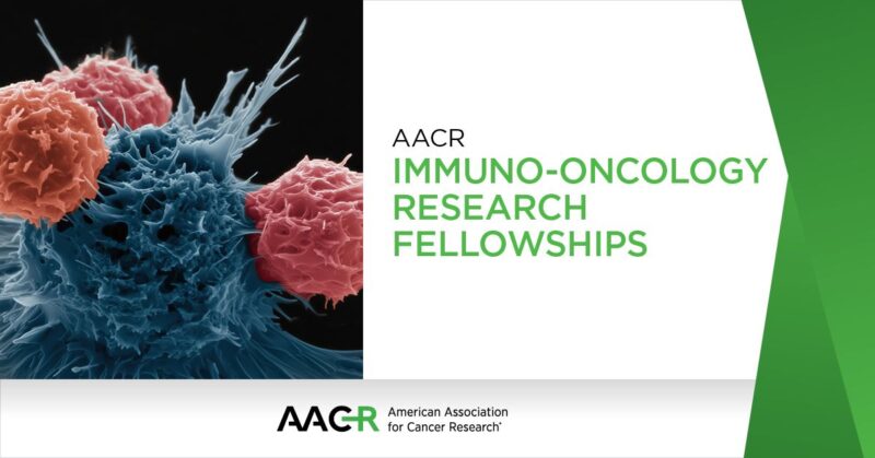 The AACR Immuno-Oncology Research Fellowships Provide $130,000 to Support Clinical Fellows
