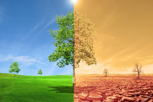 Climate Change and Cancer, global warming and cancer