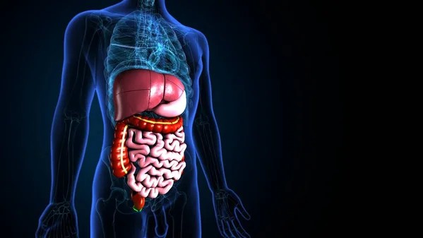ASCO Guideline For GI Cancers – Society for Integrative Oncology