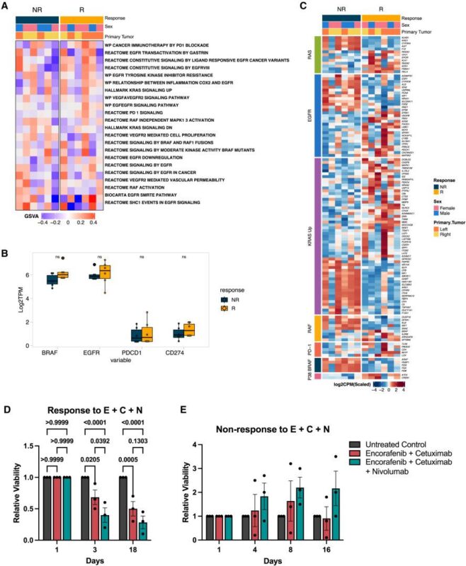 Immuno-Oncology