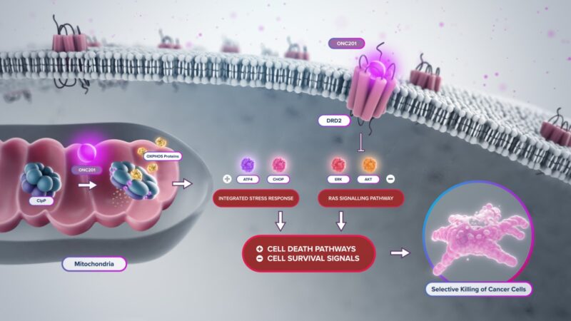 Dordaviprone mechanism of action