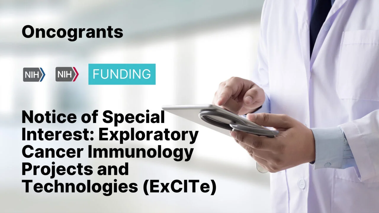 fellowship immunotherapy nci