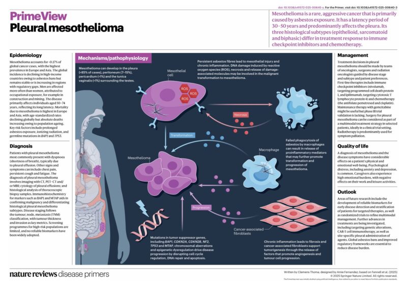 Fraser Brims Comprehensive Overview of Mesothelioma