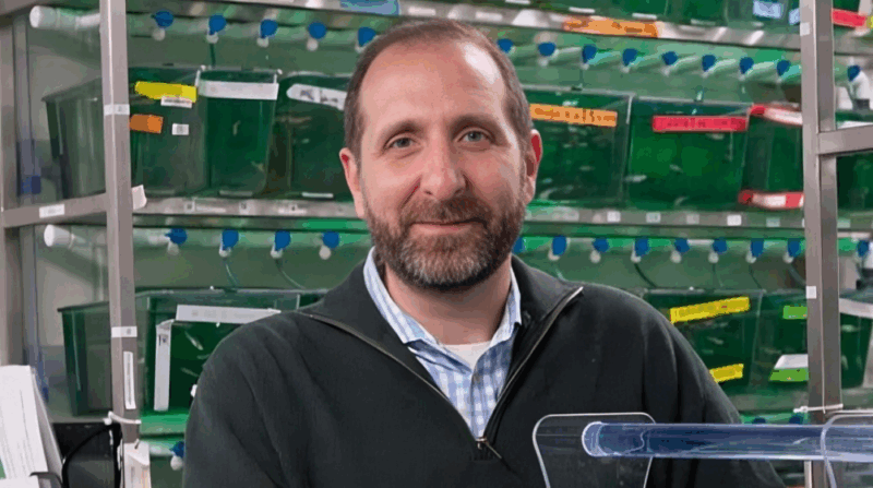 Richard White: What Triggers Changes in Cancer Cell State?