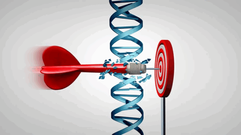 New Clinical Trial Explores WRN Helicase Inhibitor MOMA-341 in GI Cancers Resistant to Immunotherapy