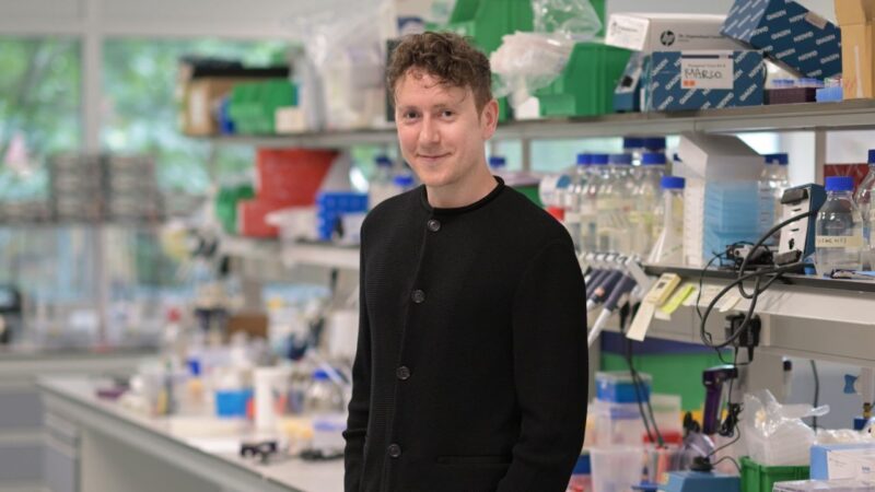 Hendrik Messal Launches His Independent Research Group at the Netherlands Cancer Institute