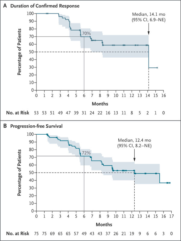 Beamion LUNG-1 results
