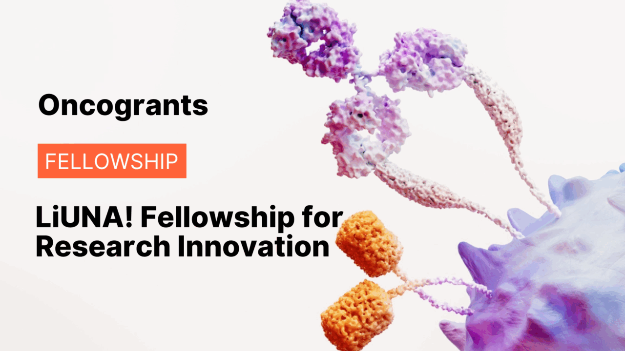 LiUNA! Fellowship for Research Innovation