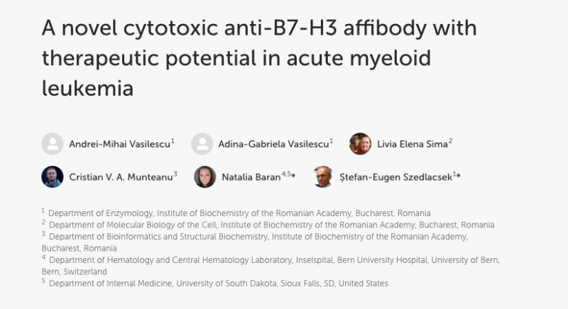 anti-B7 H3 Affibody