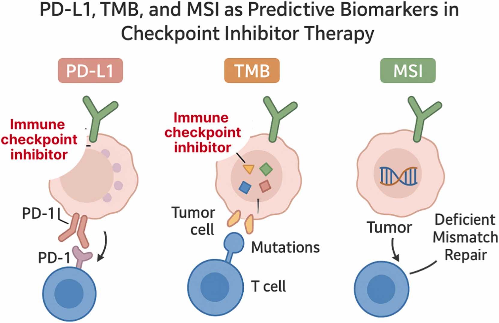 immunotherapy