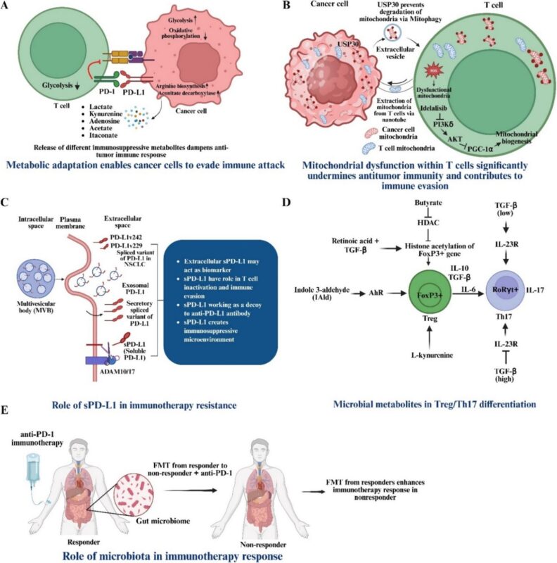 Immuno-Oncology