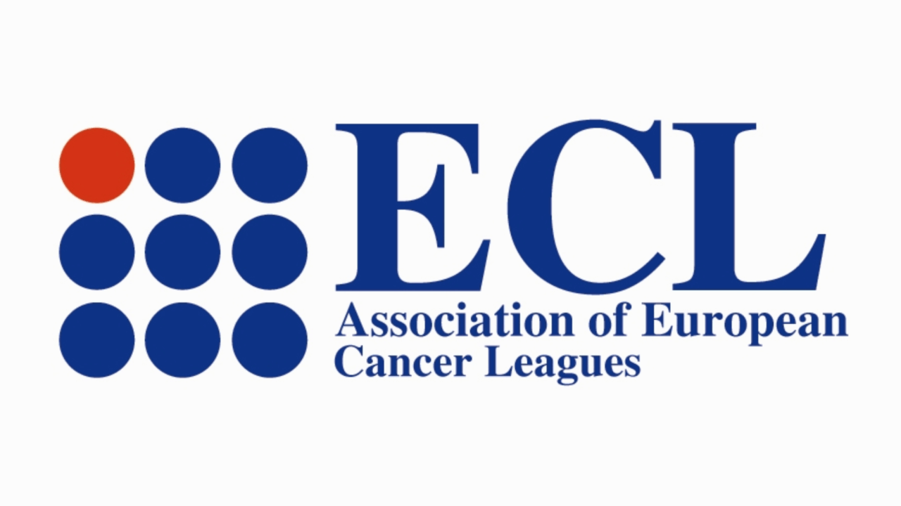 Designing a New Tool to Support Life After Testicular Cancer – Association of European Cancer Leagues