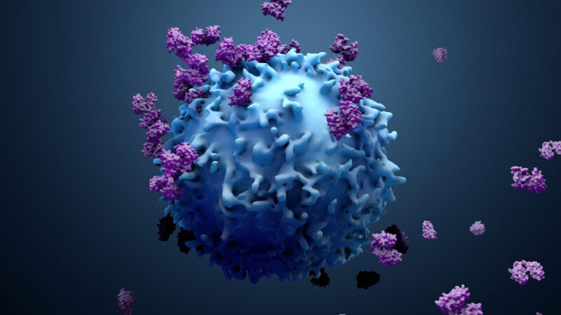 Next-Generation CAR T Cells Could Expand Solid Cancer Treatment Options