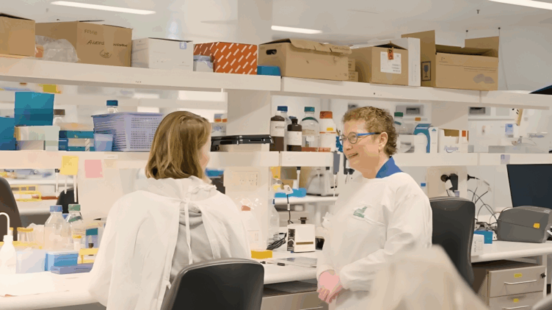Advanced Method of Growing 3D Models of Children’s Tumours – Children’s Cancer Institute