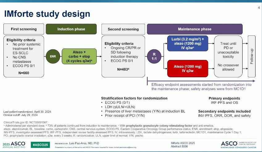 small cell lung cancer 