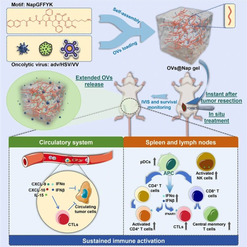 Oncolytic Virus