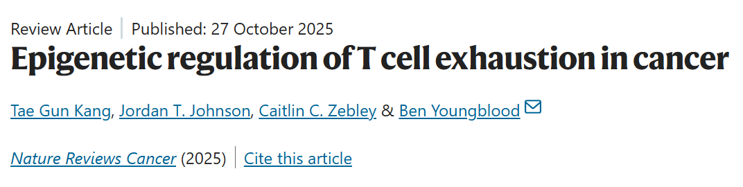 Epigenetic Regulation 
