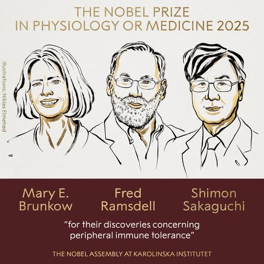 Immune System