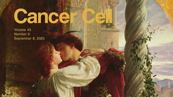 Giovanni Marchegiani: The Kiss Between Nab-Paclitaxel/Gemcitabine and FOLFINIRNOX?