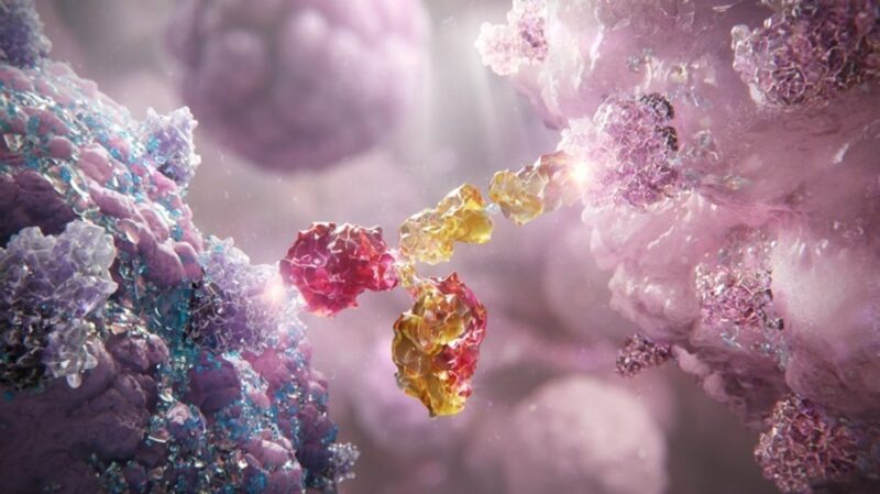 Immuno-Oncology