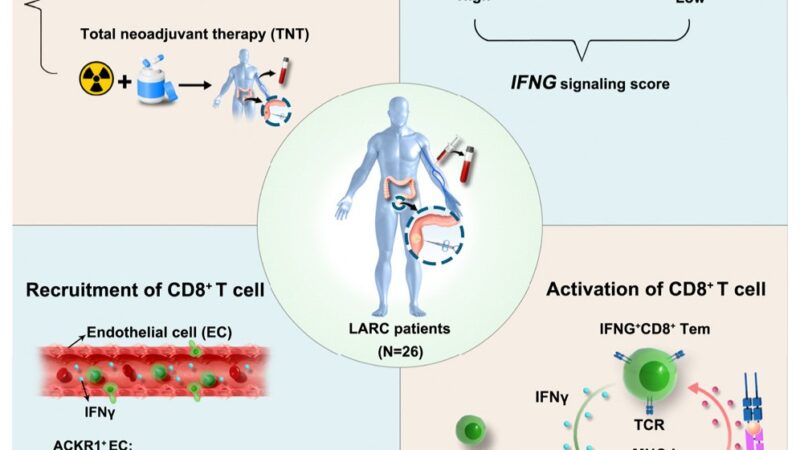 Immuno-Oncology