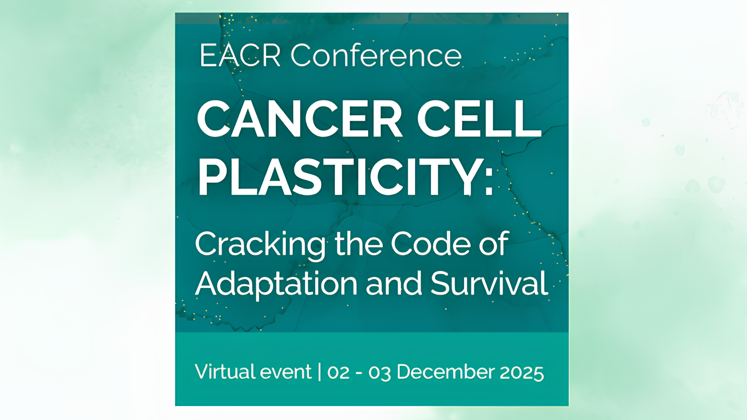 Cancer Cell Plasticity