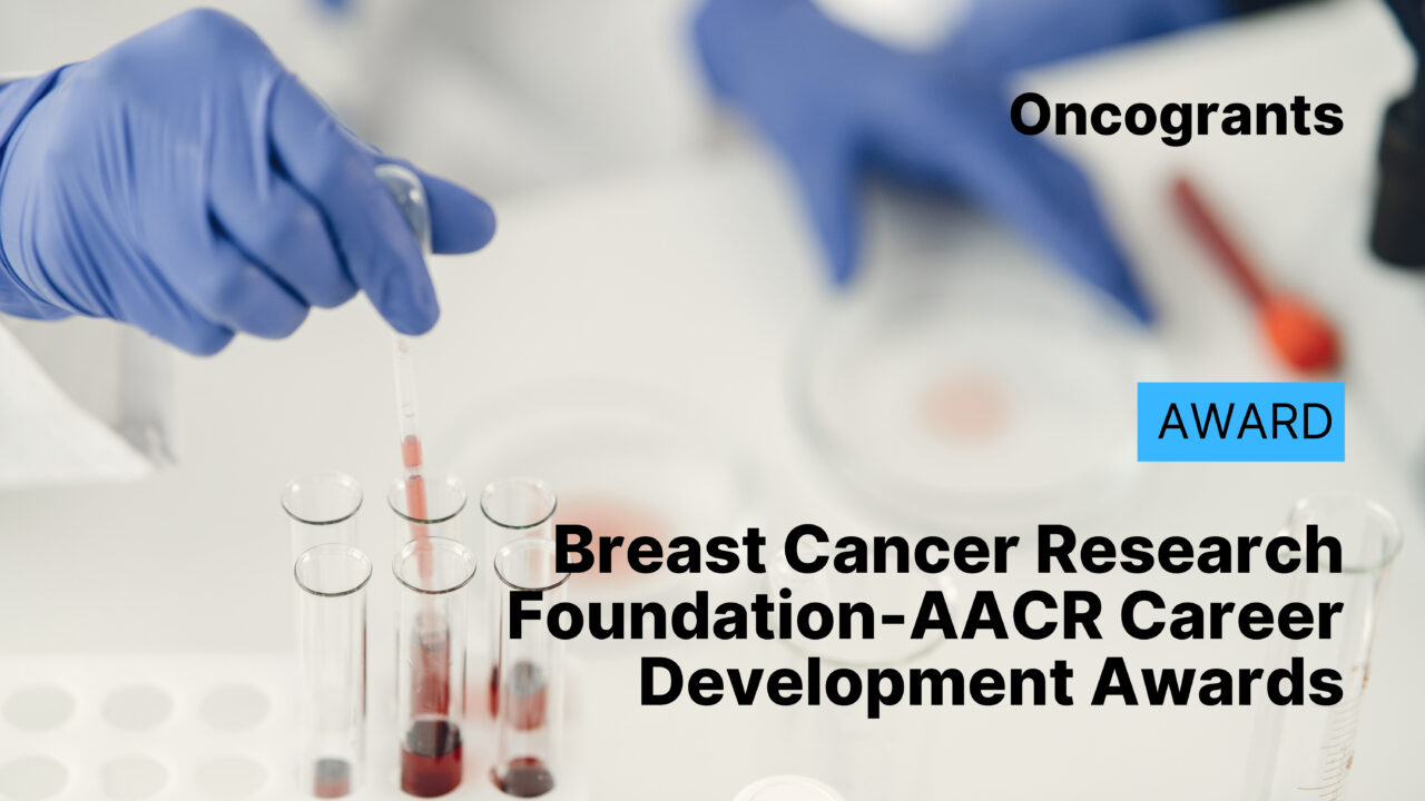 Breast Cancer Research Foundation-AACR Career Development Awards