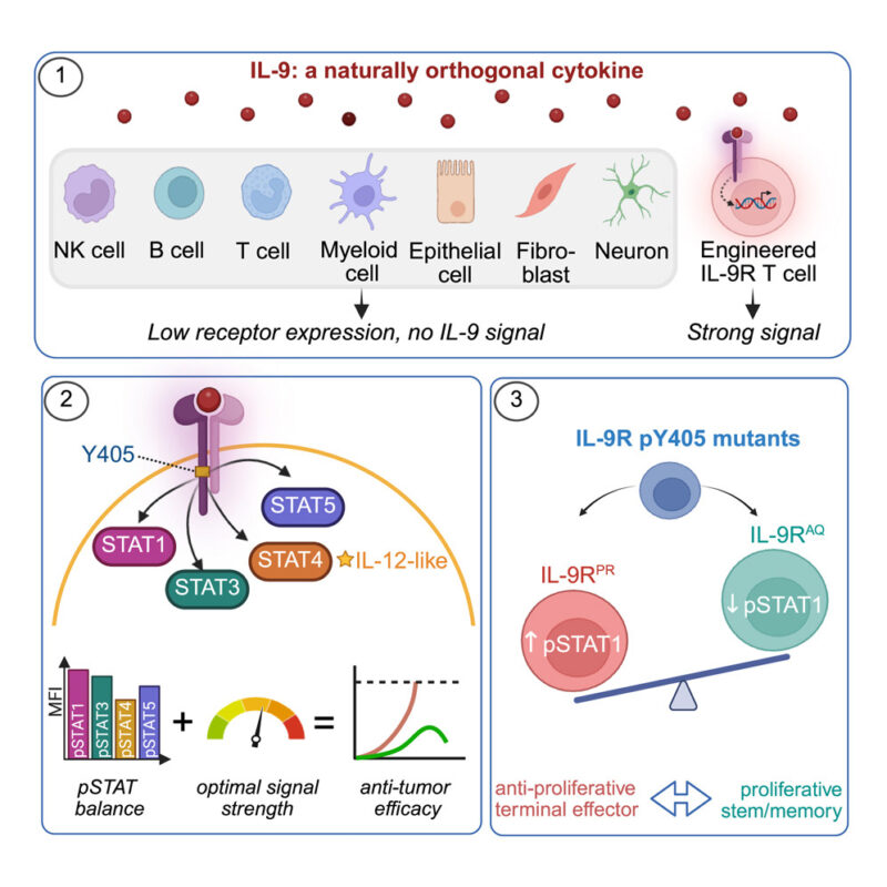 Immune-Oncology