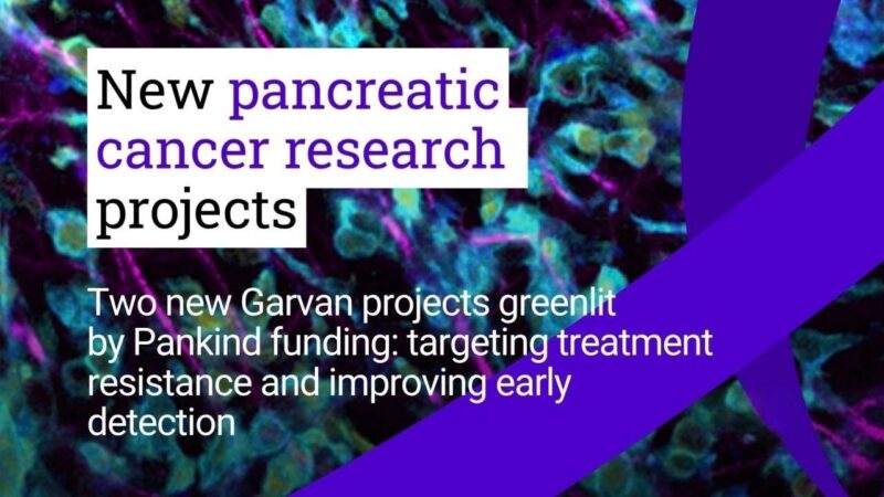 Two New Research Projects on World Pancreatic Cancer Day – Garvan Institute of Medical Research