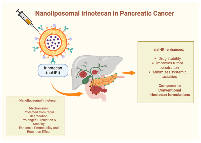 Nanoliposomal-irinotecan-in-pancreatic-cancer-mechanism-of-action-and-advantages.tif