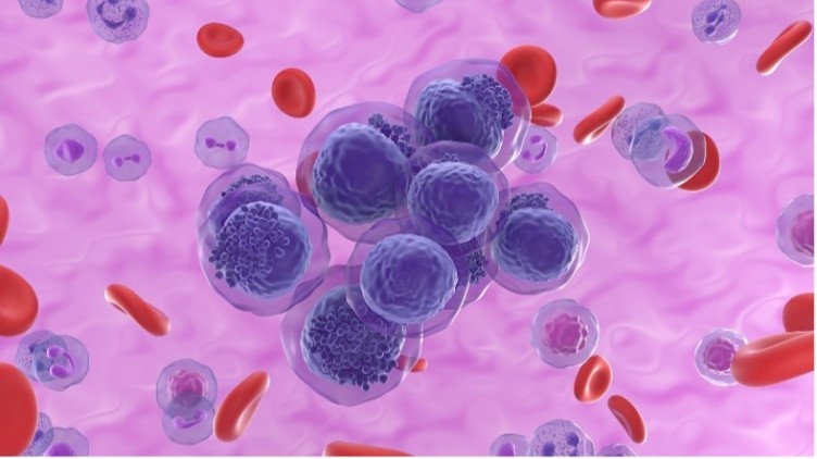Immuno-Oncology