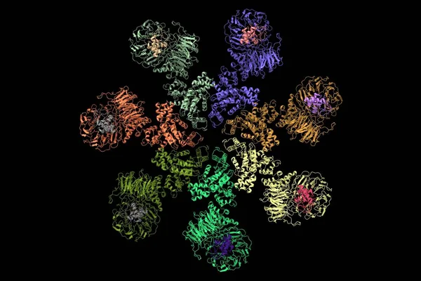 Synthetic Lethality in oncology