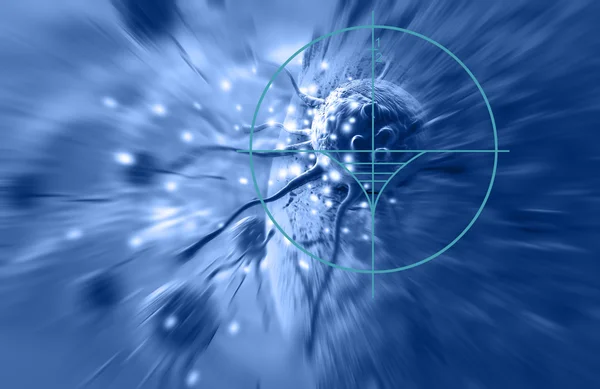 Synthetic Lethality
