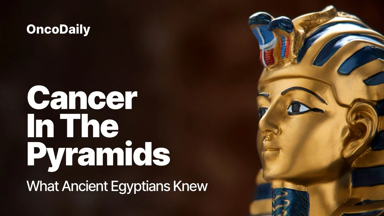oldest evidence of cancer