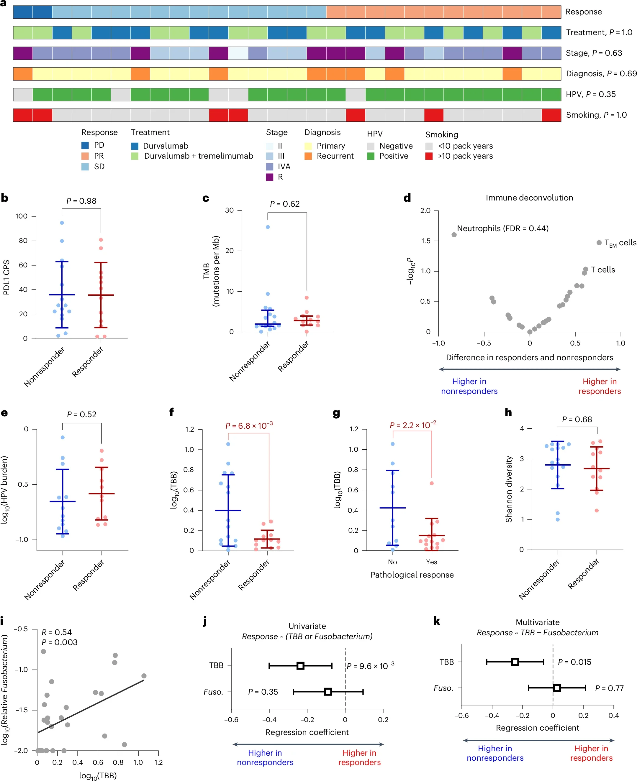 Intratumoral bacterial burden