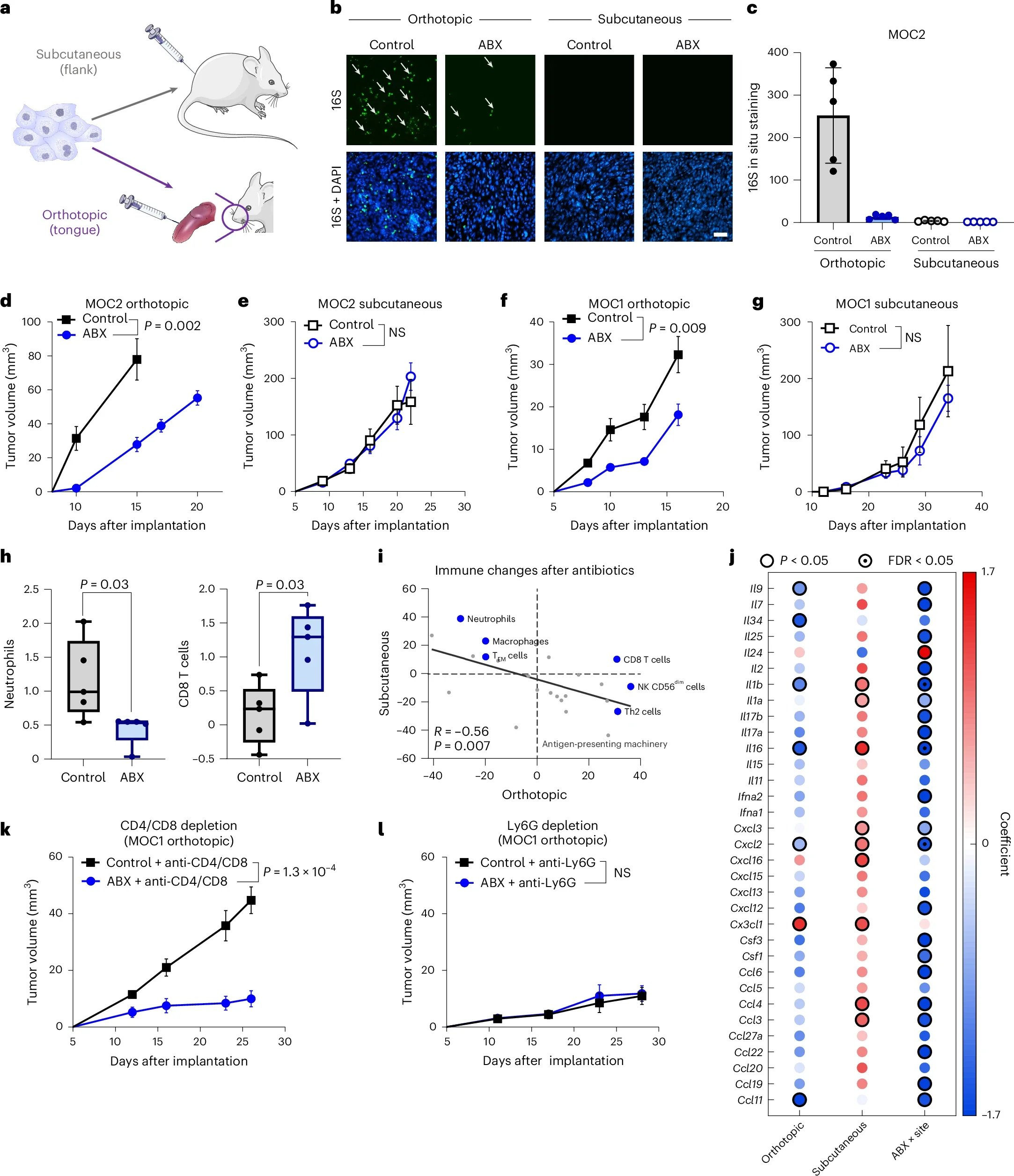 Intratumoral bacterial burden
