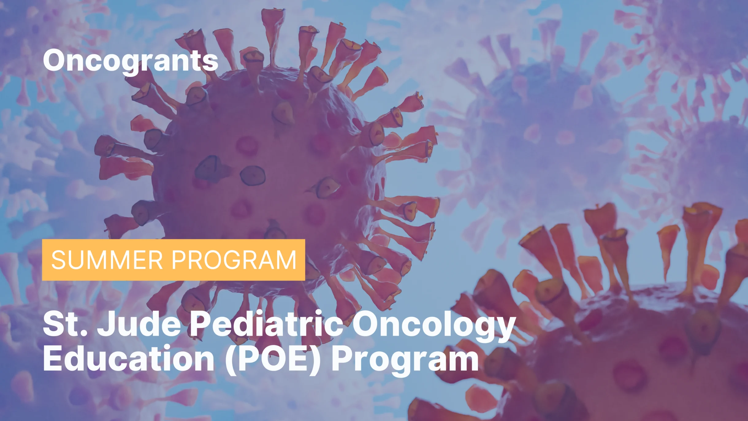 St. Jude Pediatric Oncology Education (POE) Program