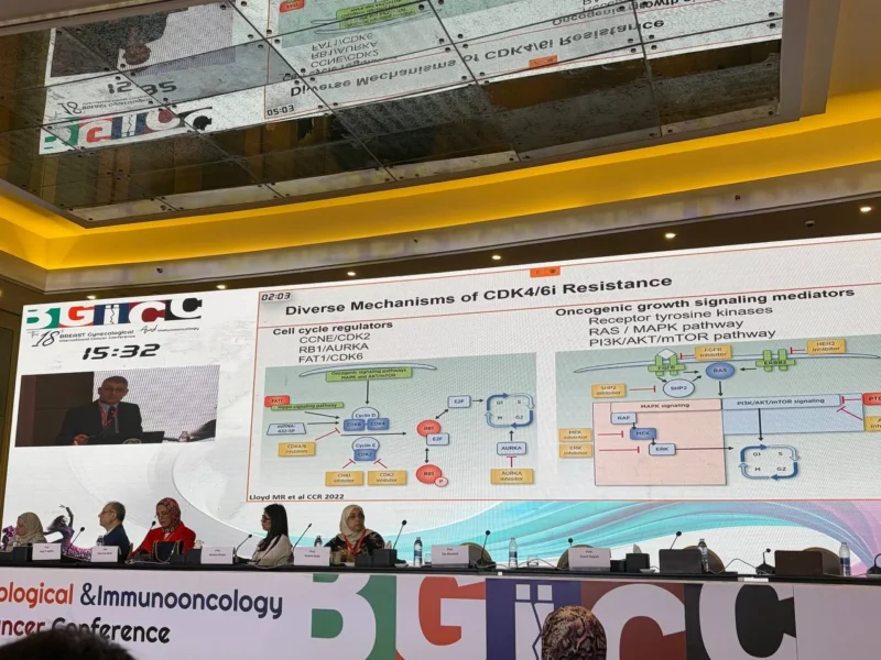 Giuseppe Curigliano about CDK4/6i resistency