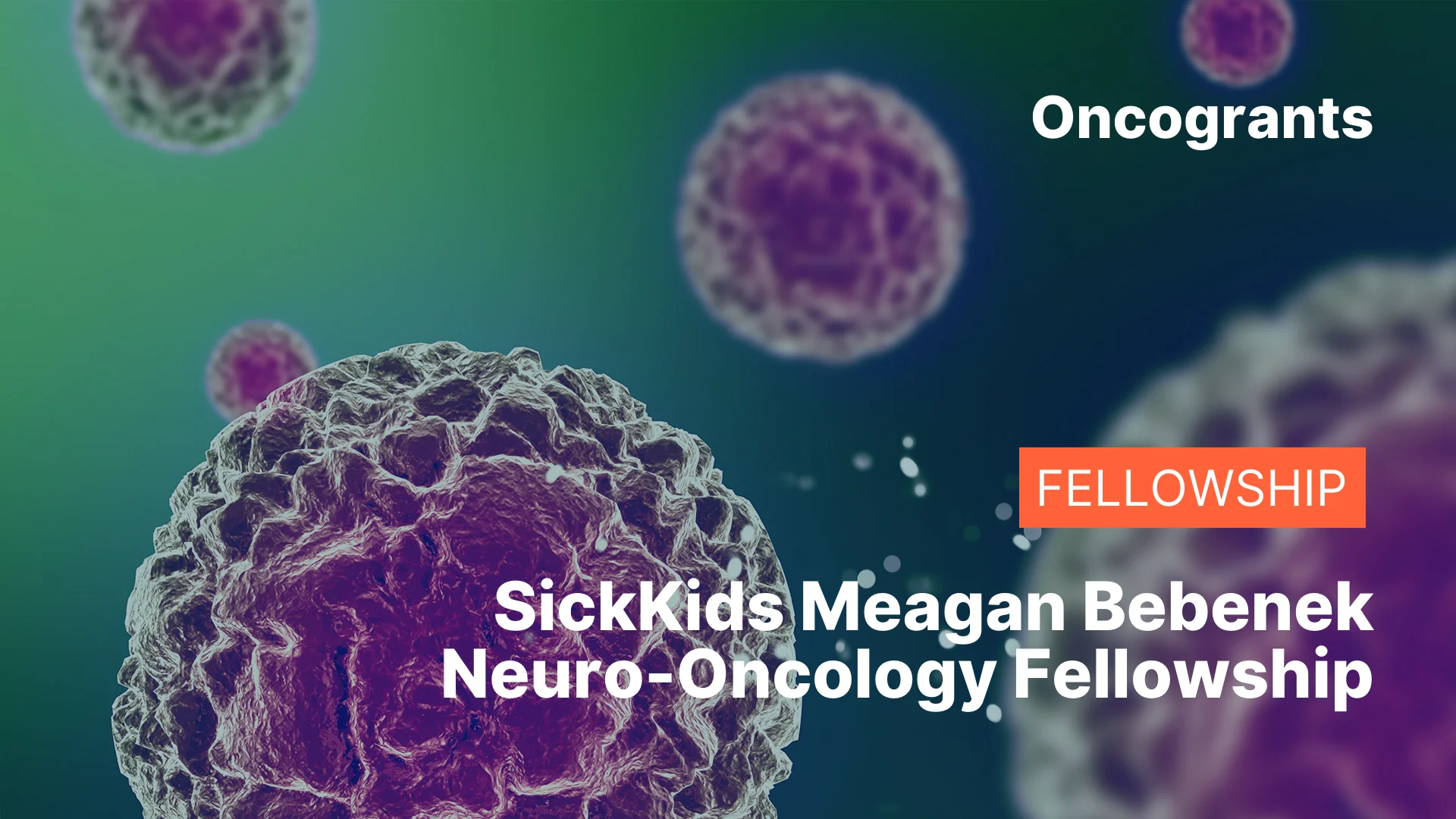 SickKids Meagan Bebenek Neuro-Oncology Fellowship
