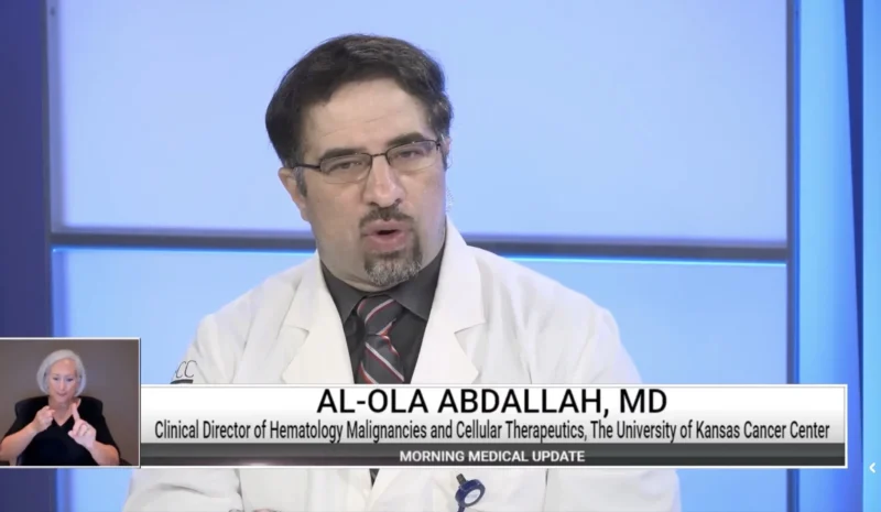 Al-Ola A Abdallah