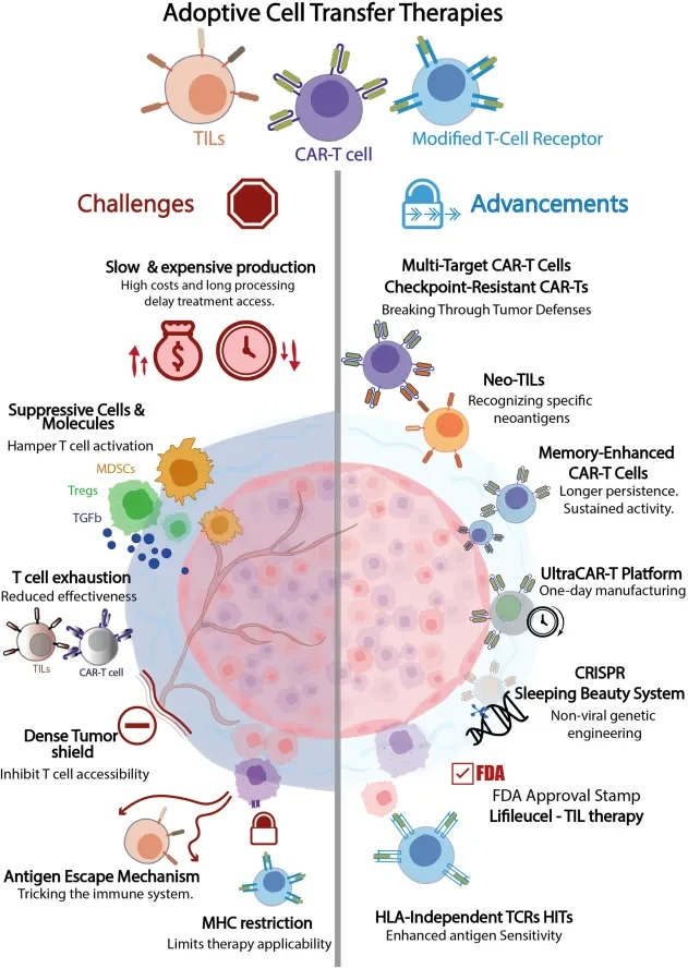 Immuno-oncology
