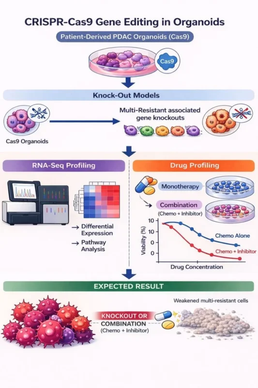 CRISPR-Cas9